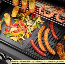 Rösle Gasgrill Magnum PRO G4-S - Modell 2023 20 Rösle Gasgrill Magnum PRO G4-S - Modell 2023 -Broil King Geschaft Roesle Magnum Pro G4 S Grillflaeche