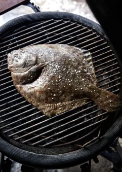 The Bastard Keramikgrill Classic Medium - Complete - Schwarz Glänzend - Modell 2023 31 The Bastard Keramikgrill Classic Medium - Complete - Schwarz Glänzend - Modell 2023 -Broil King Geschaft The Bastard Medium Keramikgrill Grillflaeche 1